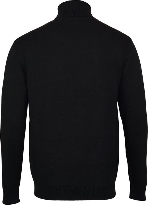 Immagine prodotto U.S. Polo ASSN. Pullover Turtleneck Shirt Longsleeve Rollneck (XL)