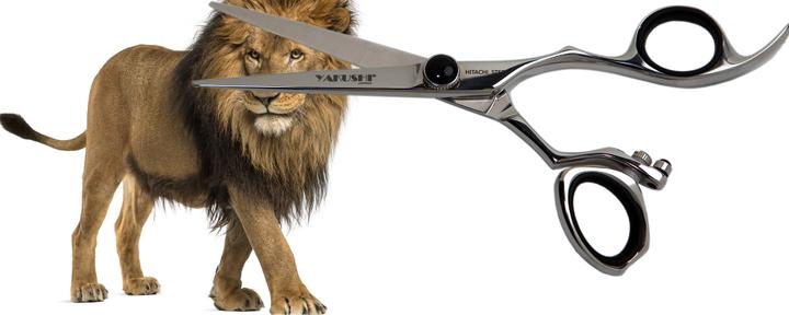 Image du produit Yakushi Chameo Move (13.97 cm)