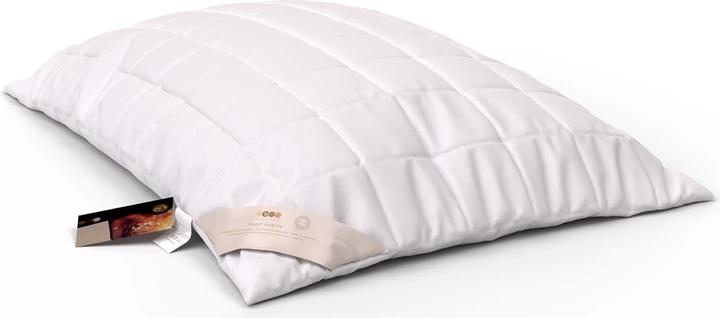 Image du produit Erzstef Objecta Oreiller cuit (65 x 65 cm)