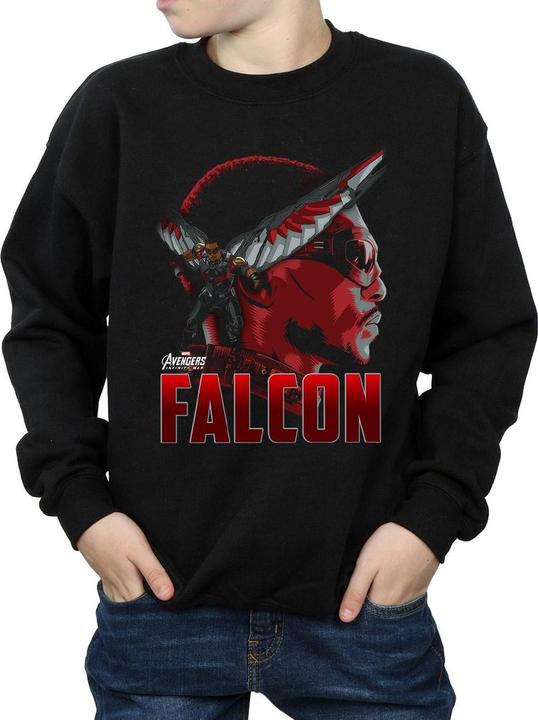 Produktbild Avengers Infinity War Falcon Character Sweatshirt Jungen (116)