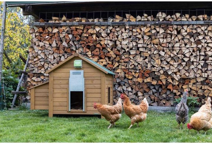 Produktbild Kerbl Basic automatische Hühnertür, Türöffnung, Türöffner für Hühnerstall, Hühnerhaus, mit Lichtsens