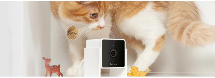 Immagine prodotto Petcube Telecamera per animali domestici (Catmint giocattolo)