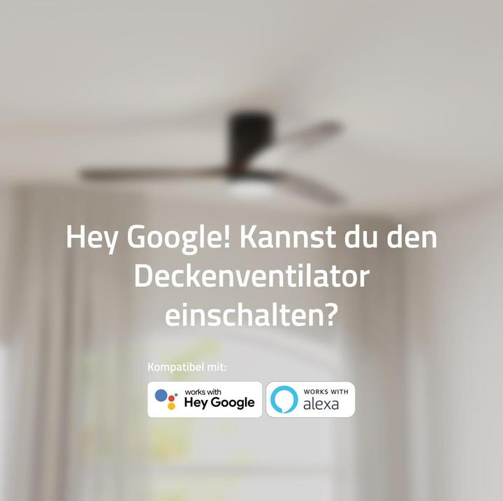 Produktbild Hombli Deckenventilator mit Licht (43 dB)