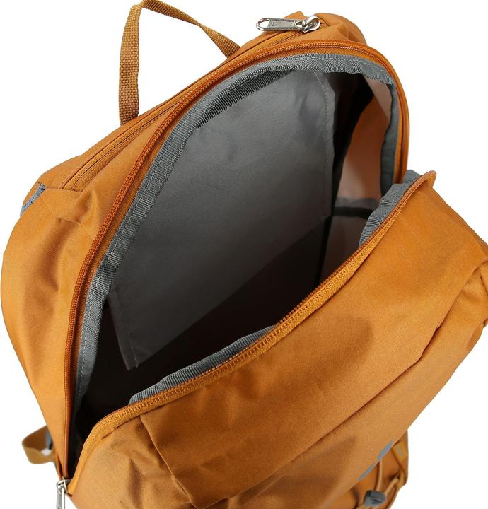 Produktbild Deuter Gogo Daypack 43 cm (17 l)