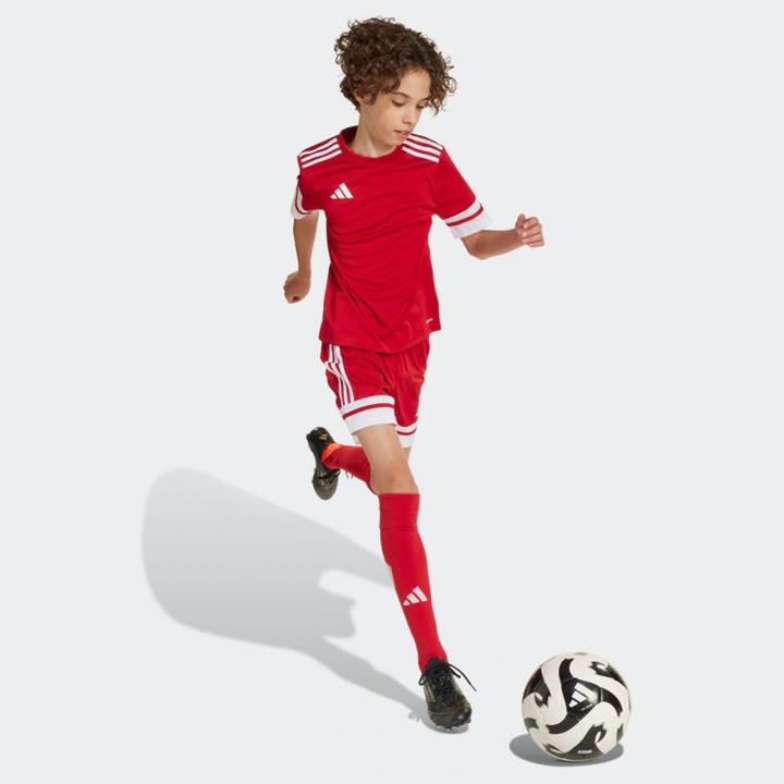 Actual product image Adidas Squadra 25 Jersey Kids (176)
