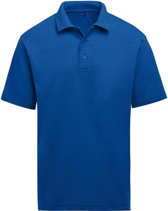 Produktbild SG Fashion Polo-Shirt (L)