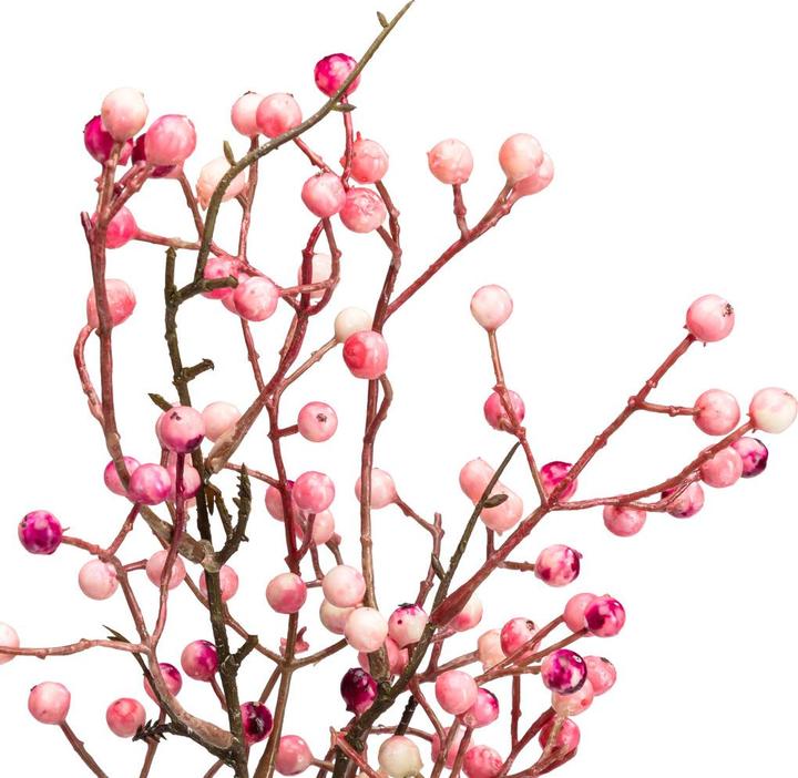 Immagine prodotto Fiebiger Flores