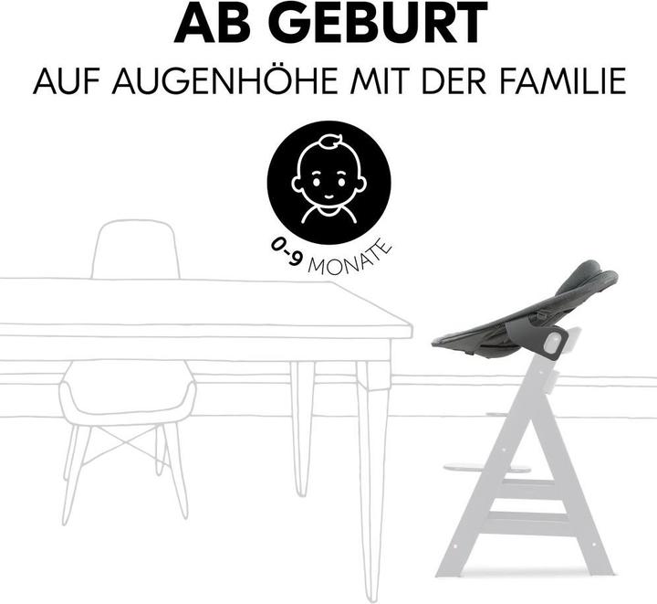 Produktbild Hauck Alpha Plus (Hochstuhl)
