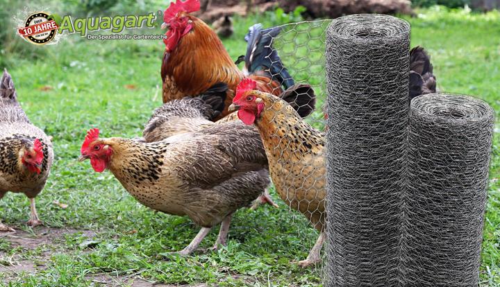 Image du produit Aquagart 180m Sechseckgeflecht Kaninchendraht Hasengitter Hasendraht 50cm 25mm x 25mm