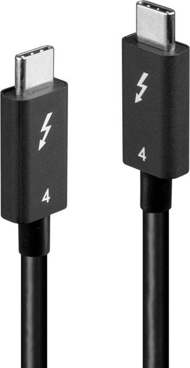 Produktbild Lindy USB C – USB C (1 m, USB 4.0, 100 W)