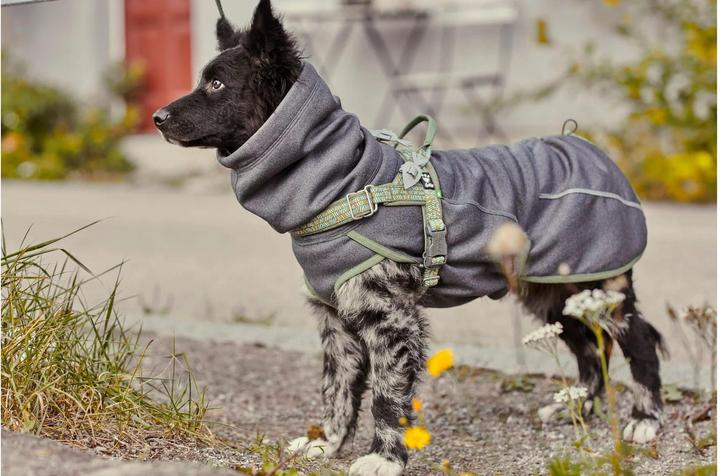 Produktbild Hurtta Razzle-Dazzle blackberry Gr.45 (M, Hundemantel)