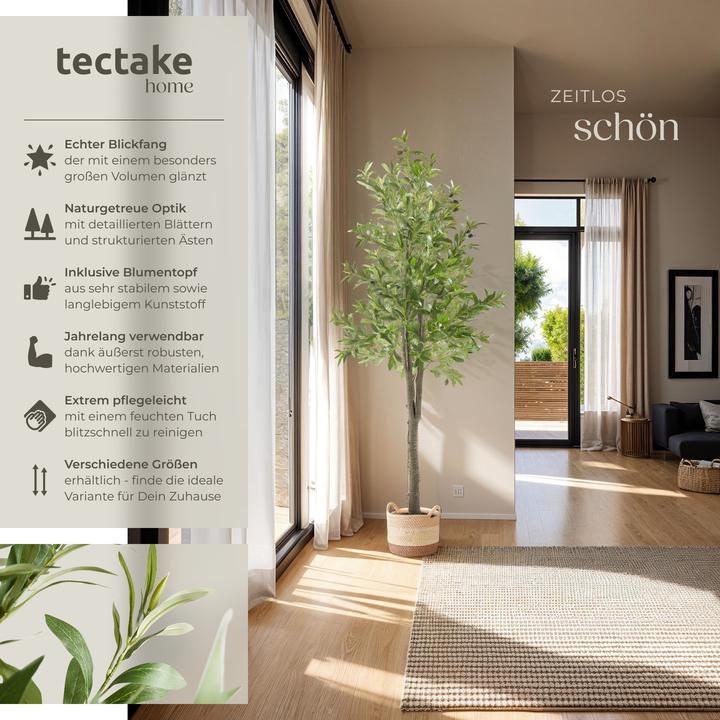 Image du produit tectake Olivenbaum Oleand (180 cm)