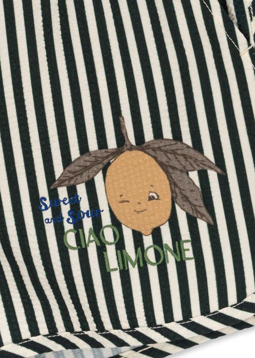 Produktbild Konges Slojd Asnou Badeshorts Scarab (98)