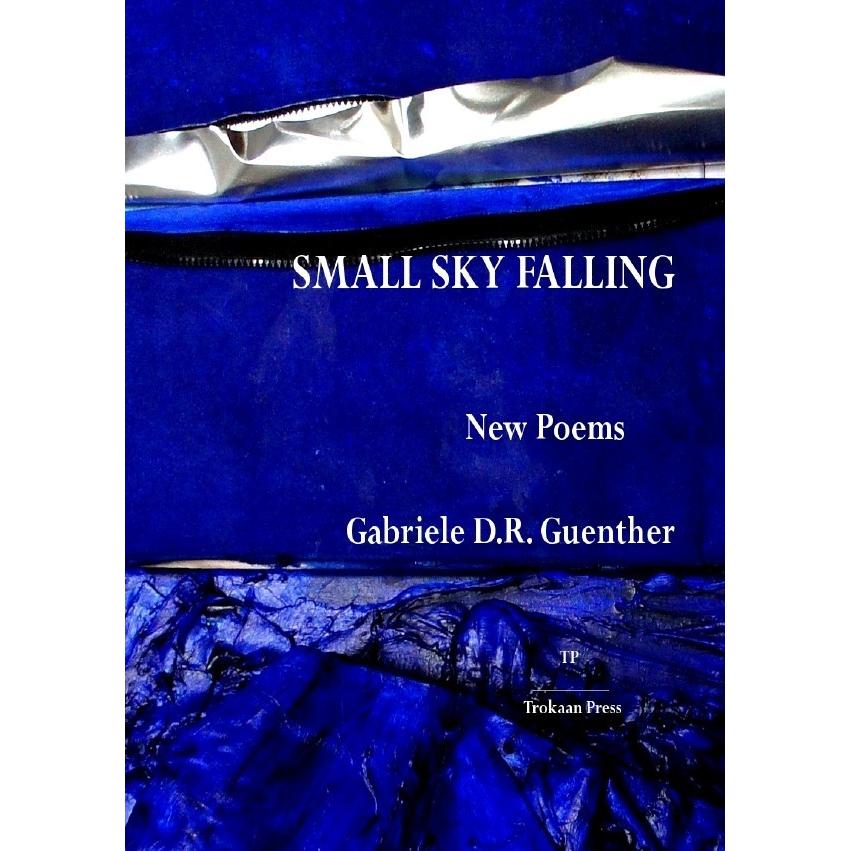 Small Sky Falling, Belletristik von Gabriele D.R. Guenther