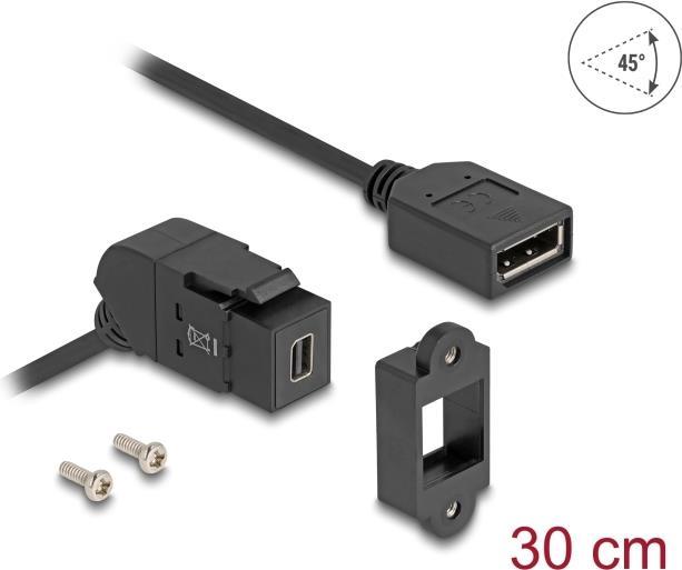 Actual product image Delock 67155 - Keystone module Mini DisplayPort female to DisplayPort female 45 gew (0.30 m, DisplayPort, 1.2)