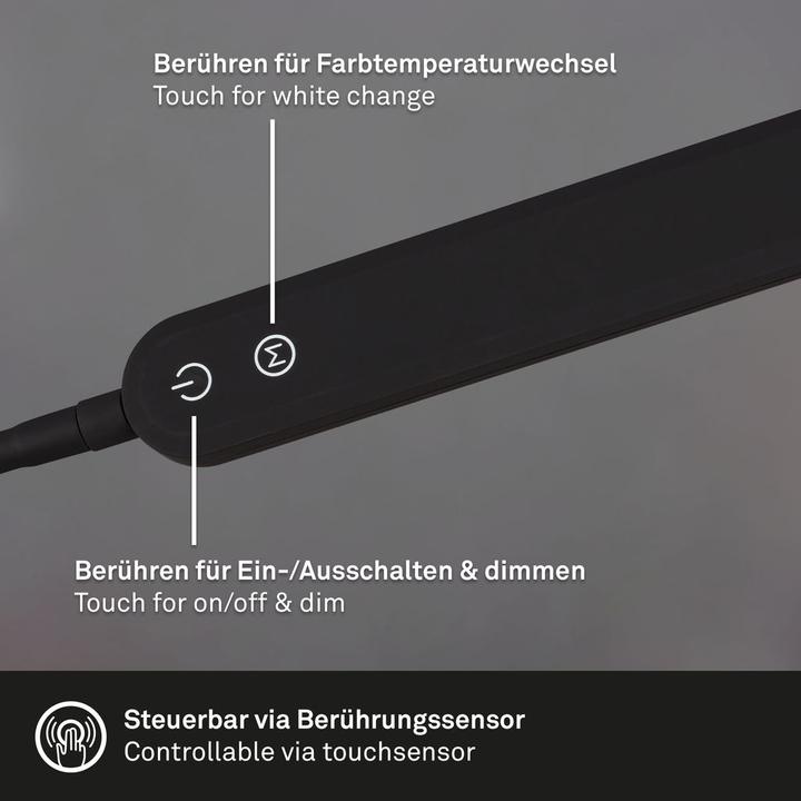 Produktbild Briloner CCT LED Tischleuchte, schwarz, LED/8W (600 lm)