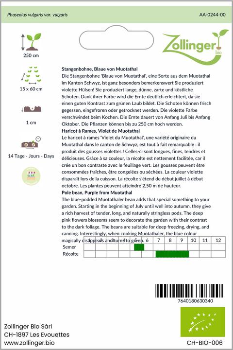 Produktbild Zollinger Bio Stangenbohne, Muotathaler (blauhülsig) (Keimlinge)