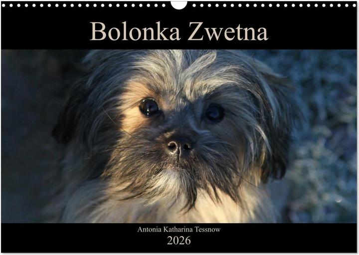 Produktbild Bolonka Zwetna 2026 (Wandkalender 2026 DIN A3 quer), Monatskalender (A3)