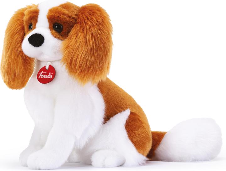 Actual product image Trudi Classic plush dog Cavalier King 16 x 27 x 30 cm (M), high-quality soft toy with soft material (30 cm)