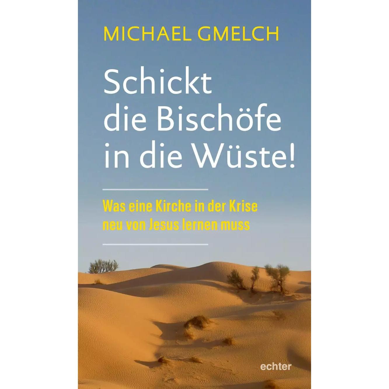 Schickt die Bischöfe in die Wüste!, Fachbücher von Michael Gmelch
