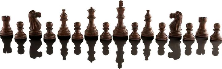 Image du produit Millennium Supreme Tournament 55 All-in-One Schachcomputer