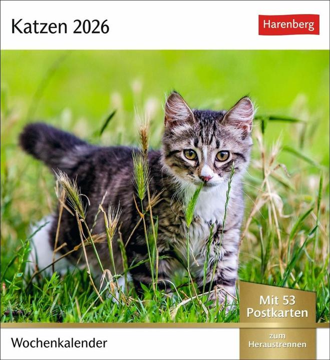 Harenberg Katzen Postkartenkalender 2026 - Wochenkalender mit 53 Postkarten (Couverture rigide, Allemand)