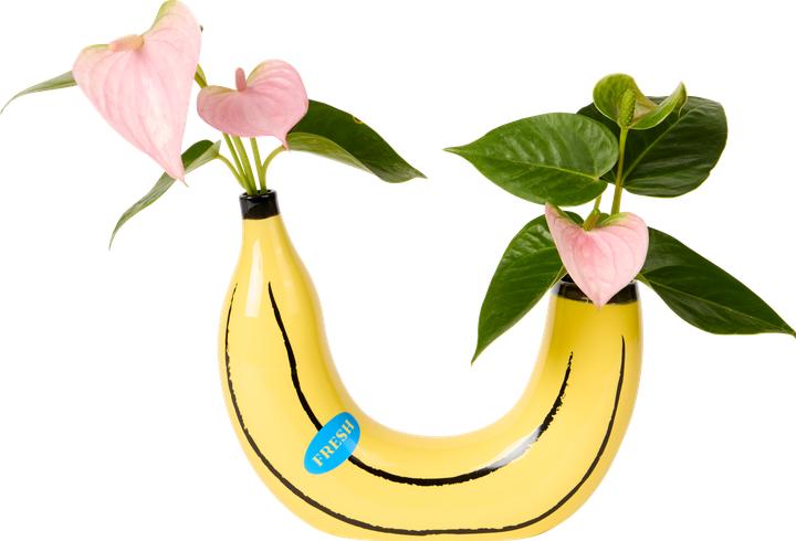 Actual product image Lund-Stougaard Banana (1 x, 20 x 19 cm)