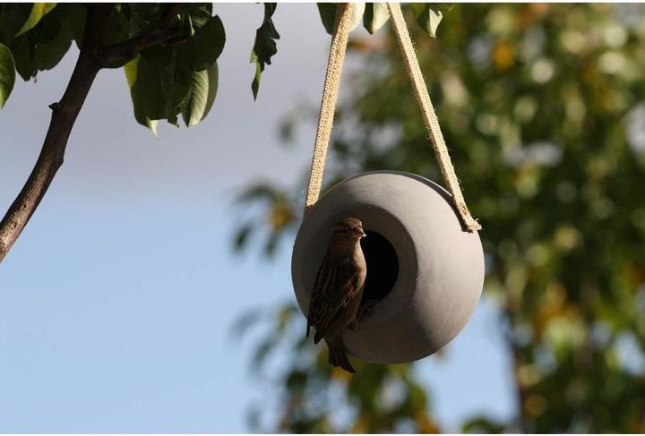 Produktbild SingingFriend Lisa