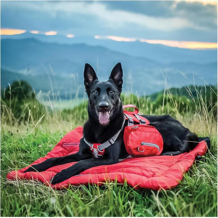 Produktbild Kurgo Baxter (M)