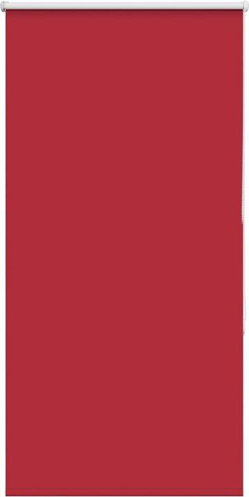 Rot