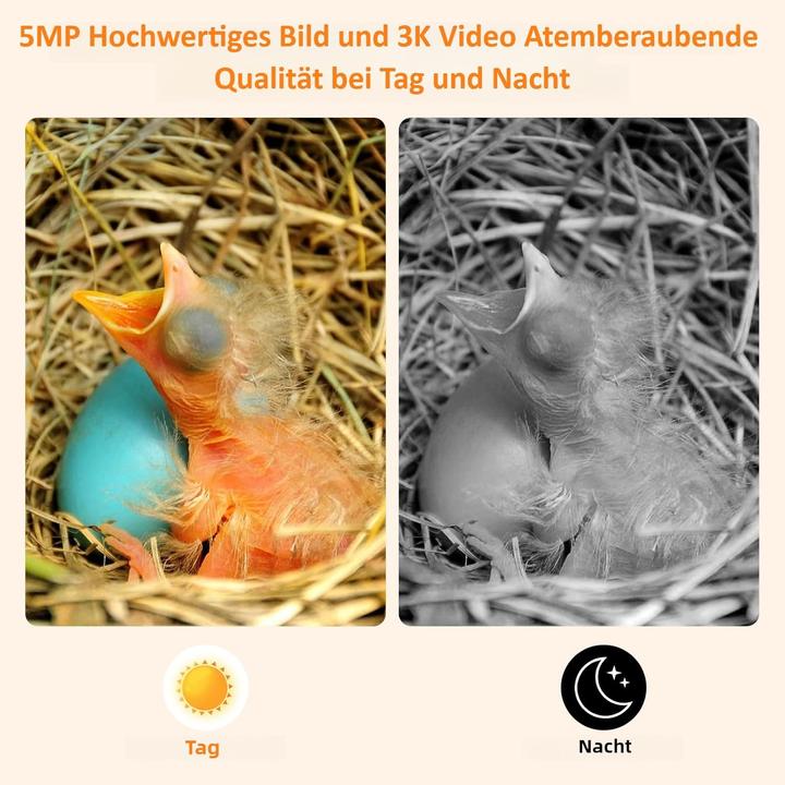 Immagine prodotto BrooBirder Vogelhaus mit Kamera & Solarbetrieb