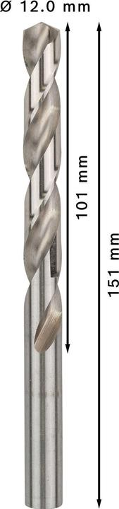Actual product image Bosch Professional Zubehör PRO Metal HSS-G twist drill, 12 x 101 x 151 mm (12 mm)