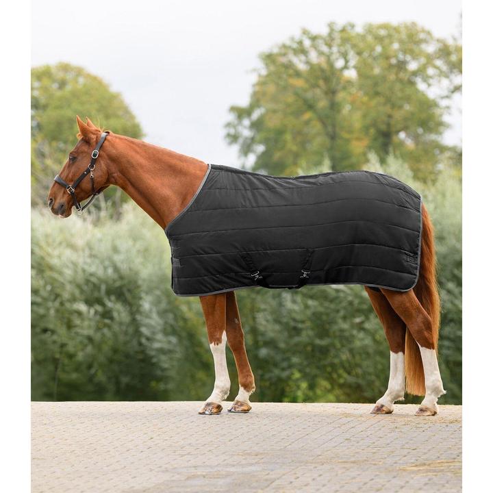 Produktbild Waldhausen Economic 100g (165 cm)