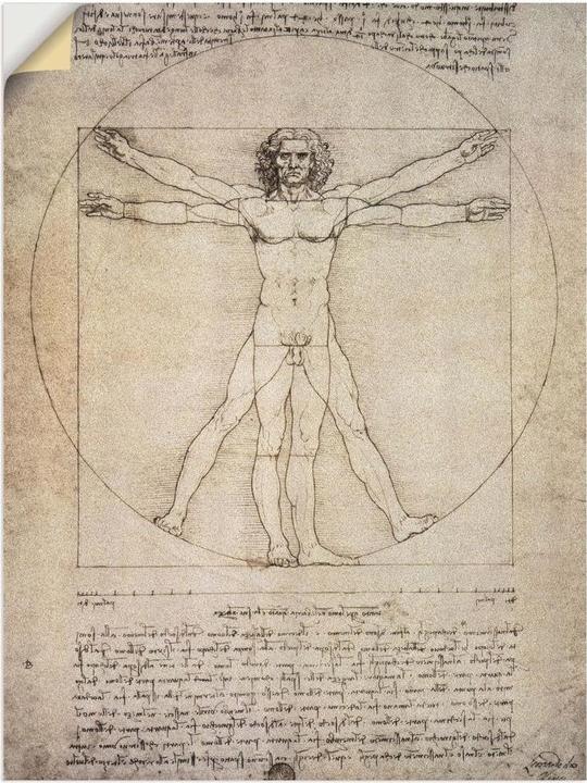 Image du produit Artland Dessin des proportions, d'après Vitruve. 1490 T6SM (60 x 80 cm)