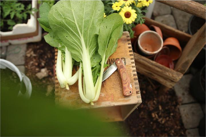 Produktbild Øyo Marka (8.50 cm)