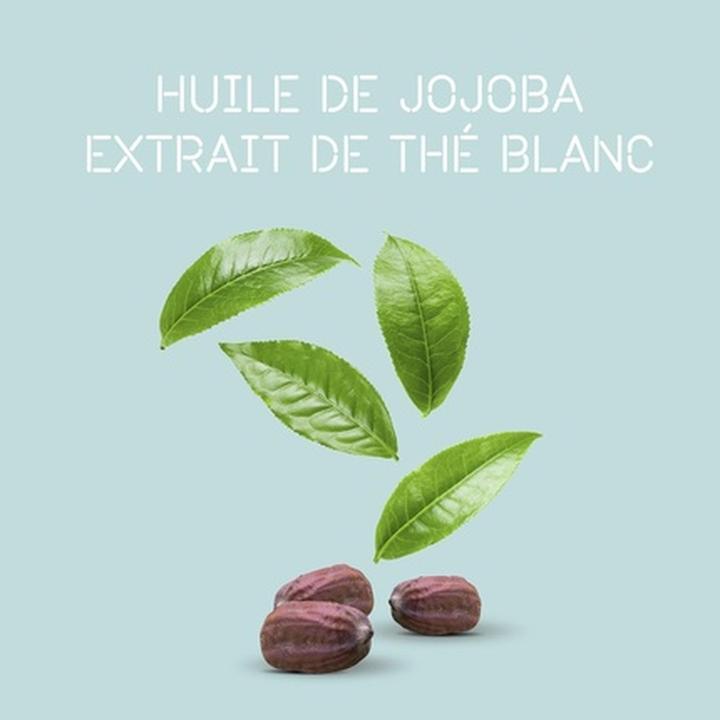 Actual product image Londa Purifying Shampoo (Liquid shampoo)