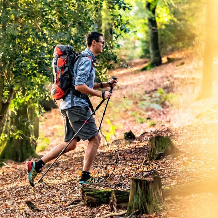 Produktbild Rothwild Trekkingstöcke