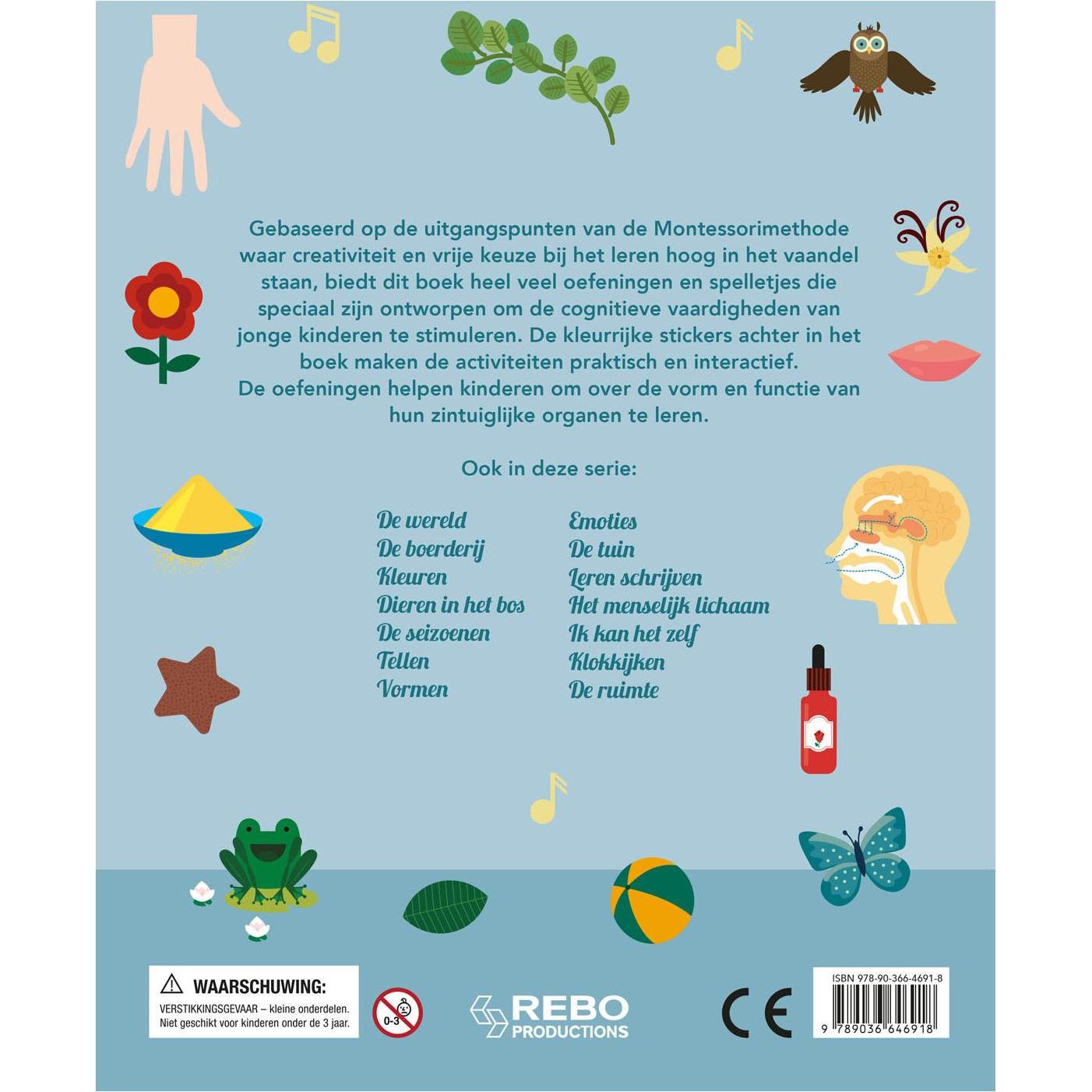 Thumbnail - Rebo, Sticker, Five Senses – Das beste Übungsbuch