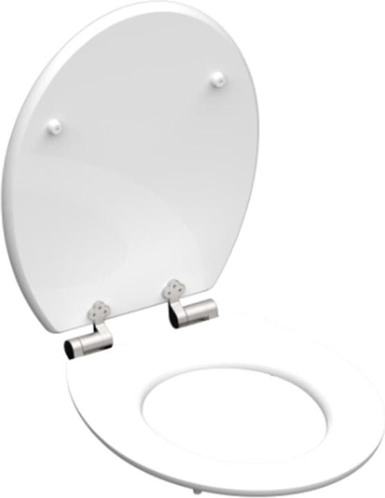 Produktbild Schütte WC Sitz Holz MDF WC-Sitz POLAR LIGHTS Absenkautomatik 80548 Polarlicht