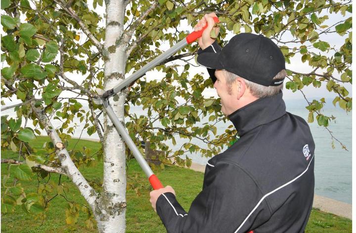 Produktbild Felco Zweihandscheren