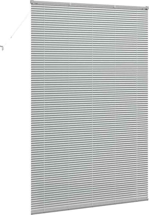 Immagine prodotto VidaXL Tende per finestre (150 x 220 cm)