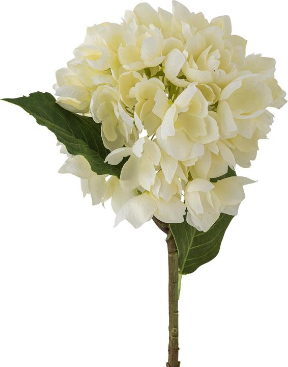 Immagine prodotto Bloomingville Hydrangea (56 cm)