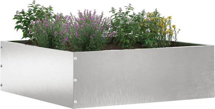 Produktbild vidaXL Gartenumrandung (40 cm)