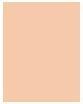 Immagine prodotto MAC Cosmetics Studio Fix - Fondotinta in polvere Plus (No. NC30)