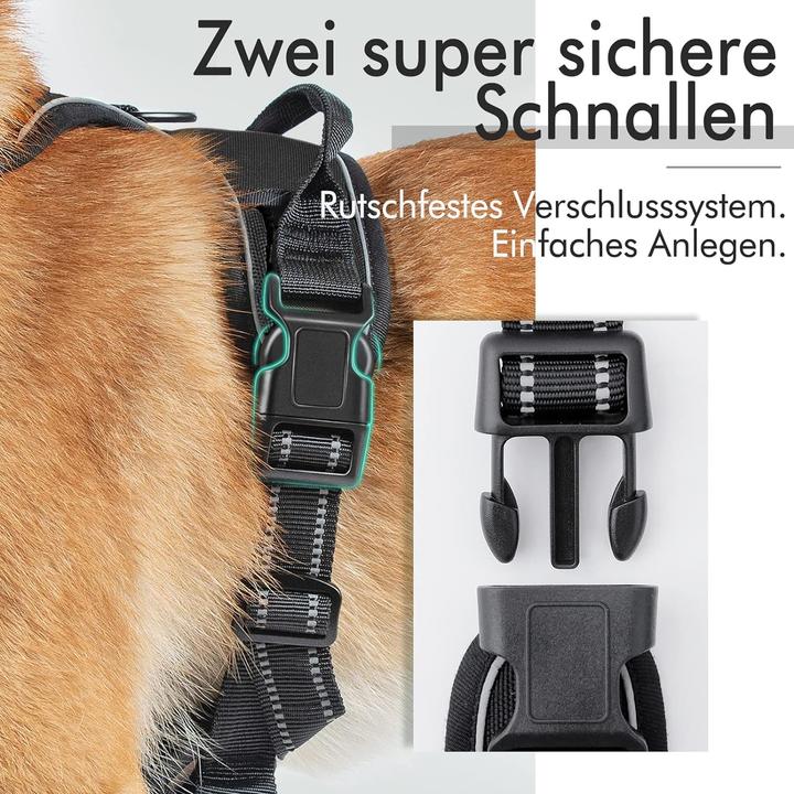 Actual product image Rabbitgoo No-pull dog harness (L, Dog, General)
