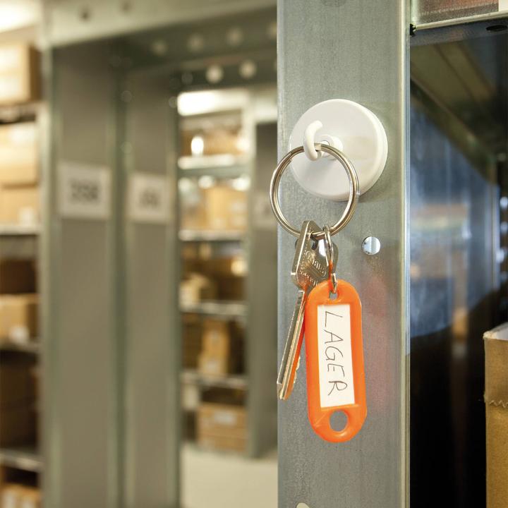 Actual product image Magnetoplan Hook magnet (1 x)