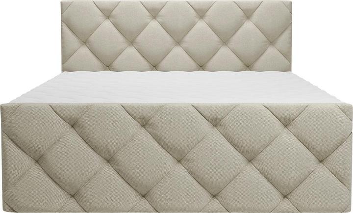 Immagine prodotto Livetastic Pedro (180 x 200 cm)