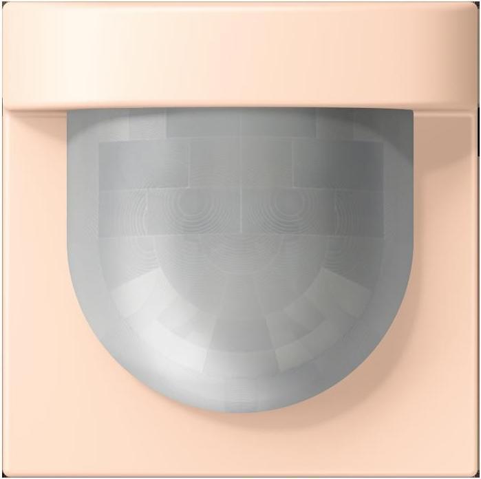 Actual product image JUNG Automatic switch (15 m)