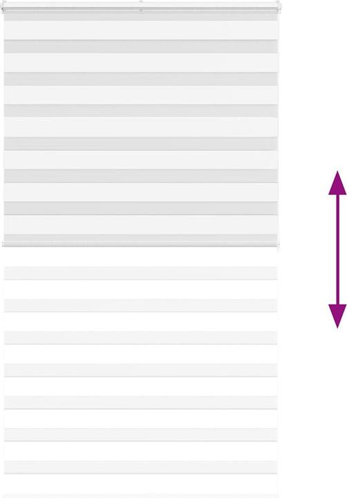 Produktbild vidaXL Zebra-Jalousie (125 x 200 cm)