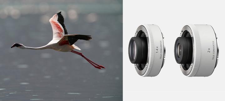 Produktbild Sony 600mm f/4 GM OSS E - Import (Sony E, APS-C / DX, Vollformat)